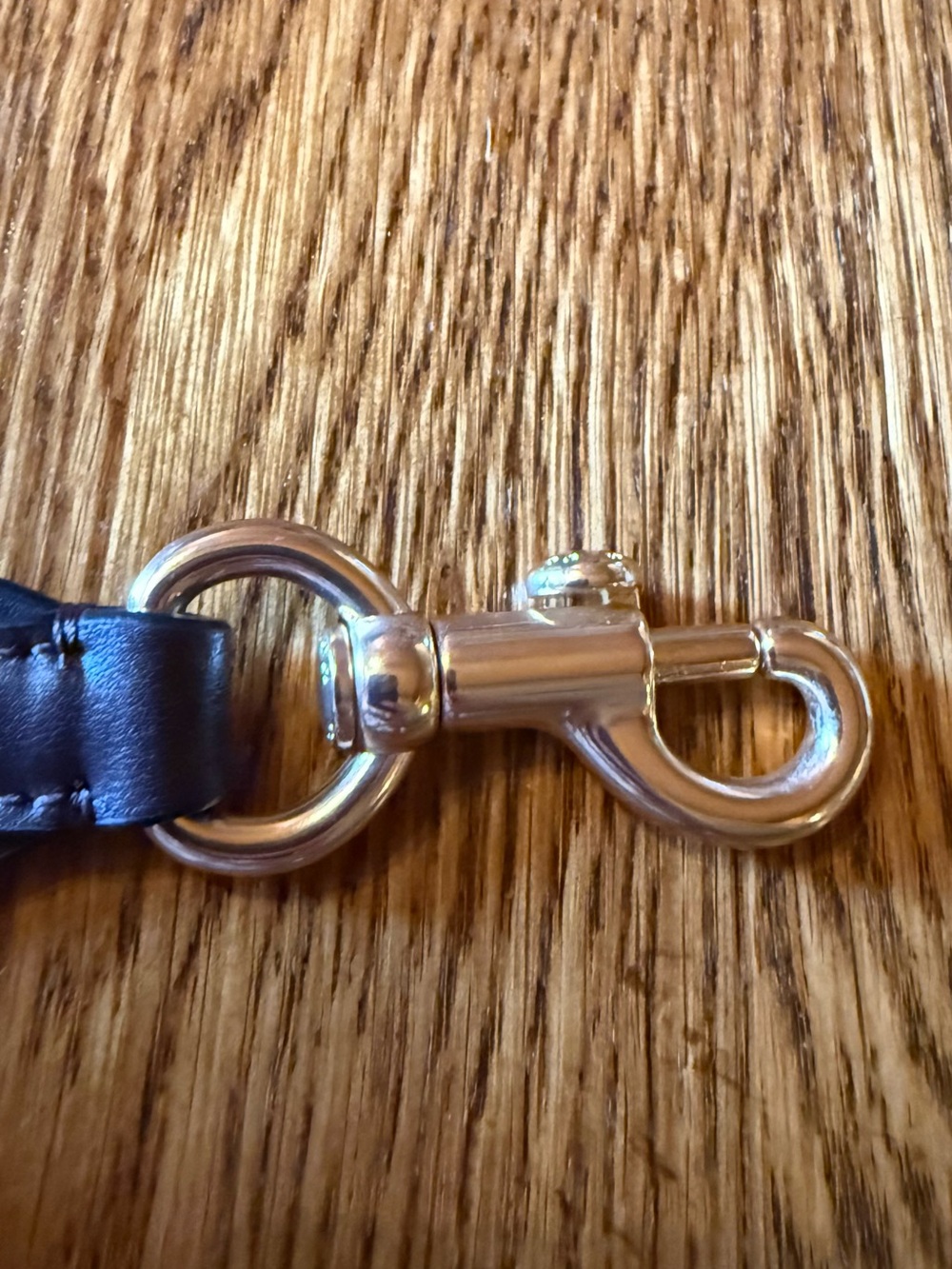 Coach Leather Strap with Gold Hardware - Picture 5 of 5